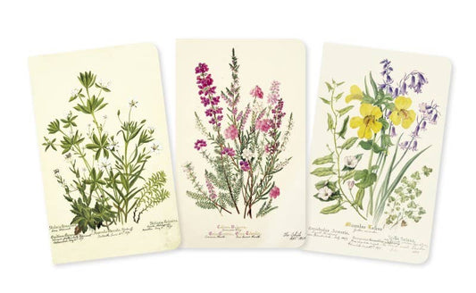 Royal Botanic Garden Edinburgh Set of 3 Mini Notebooks