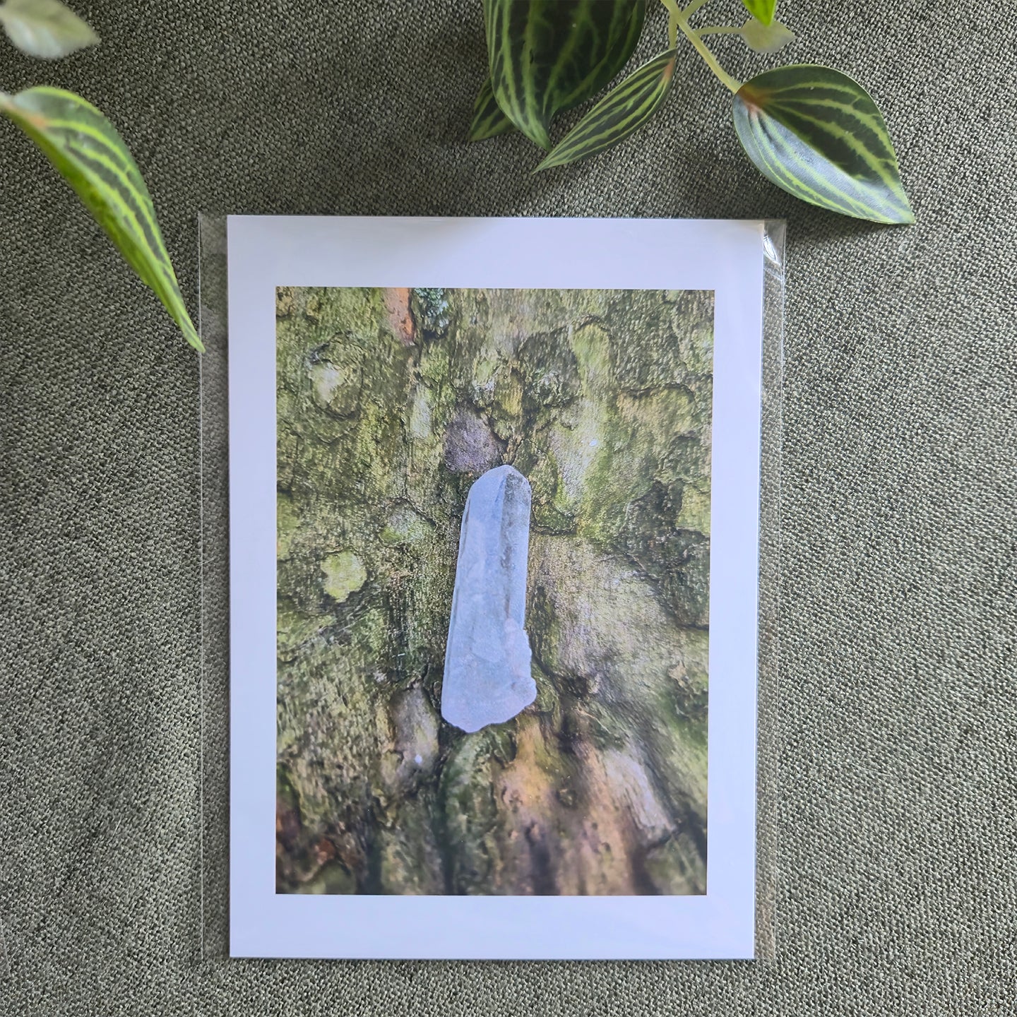 Earth Magick PRINT