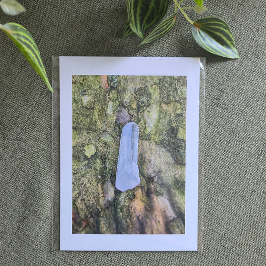 Earth Magick PRINT