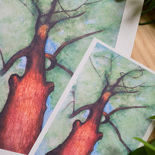 Warmth Art Print